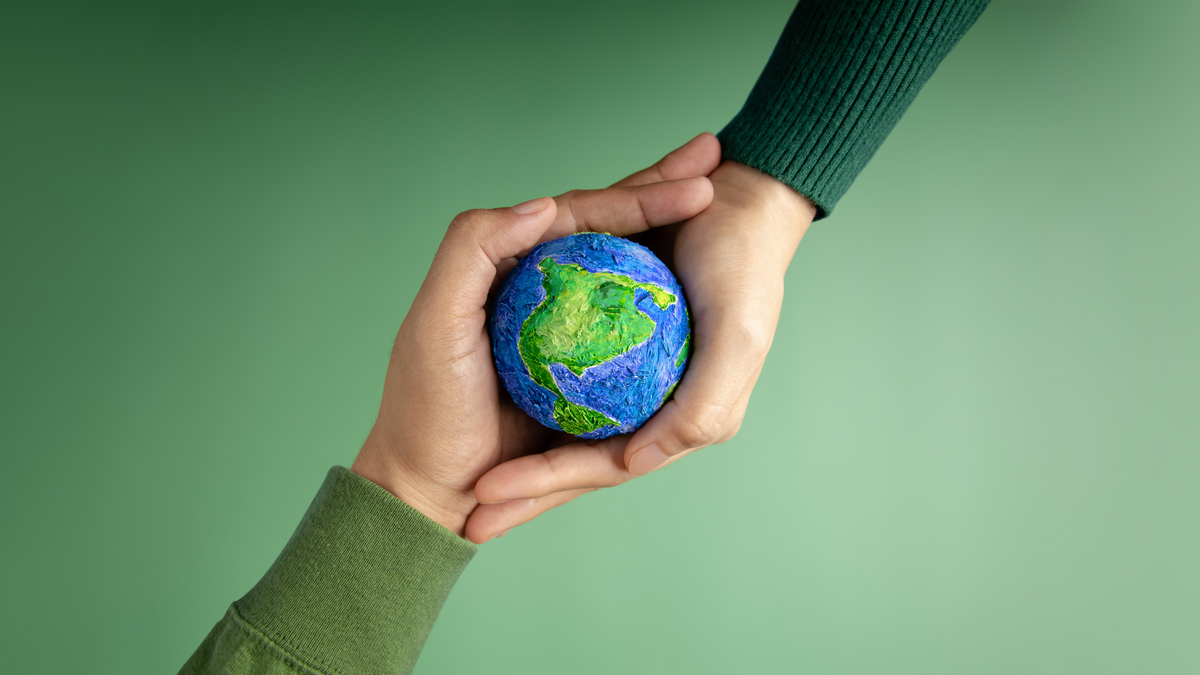 Sostenibilità ambientale a casa: perché scegliere materiali eco-friendly