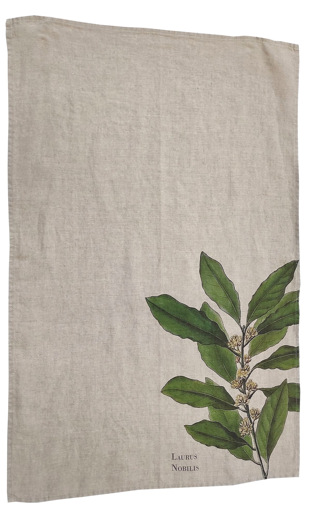 Canovaccio in Puro Lino 100% – ALLORO
