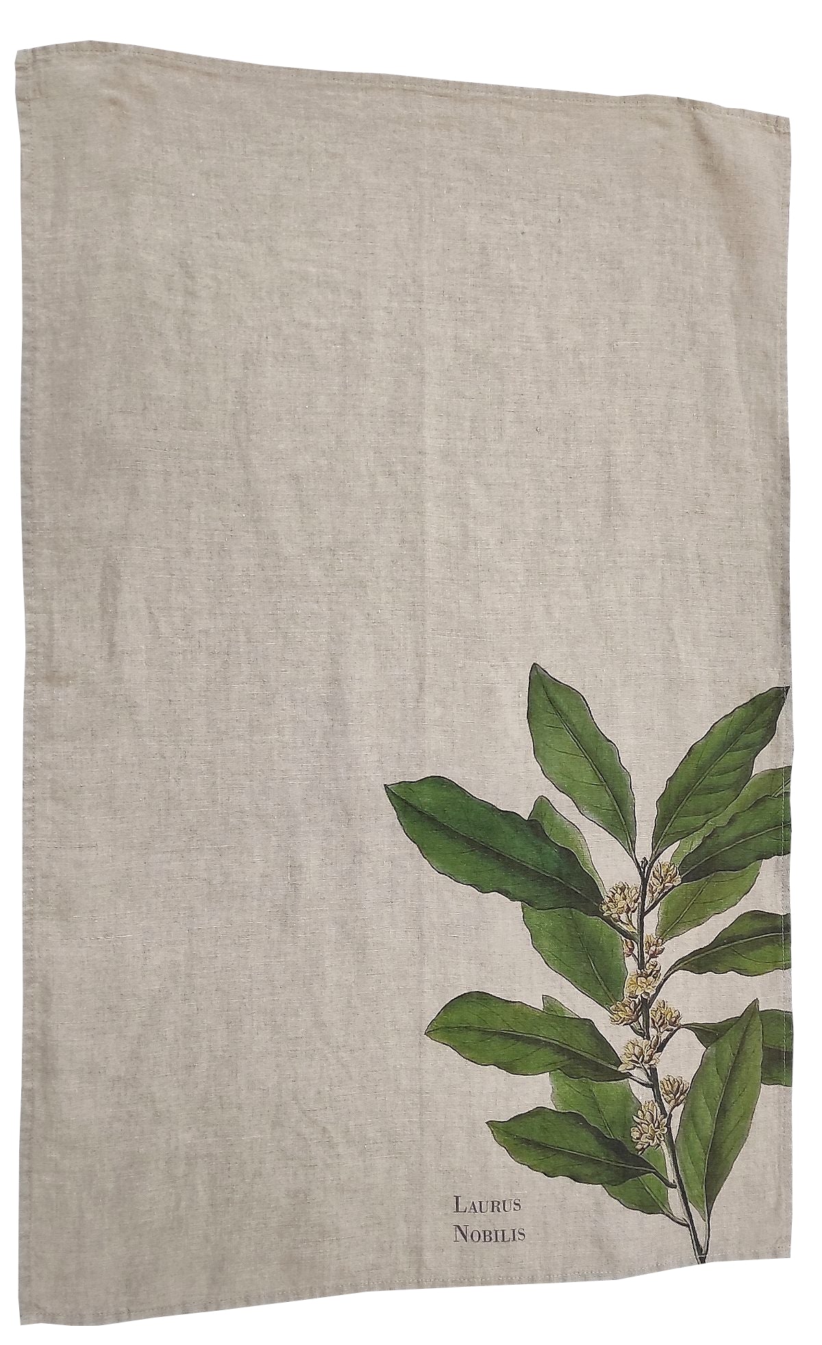 Canovaccio in Puro Lino 100% – ALLORO
