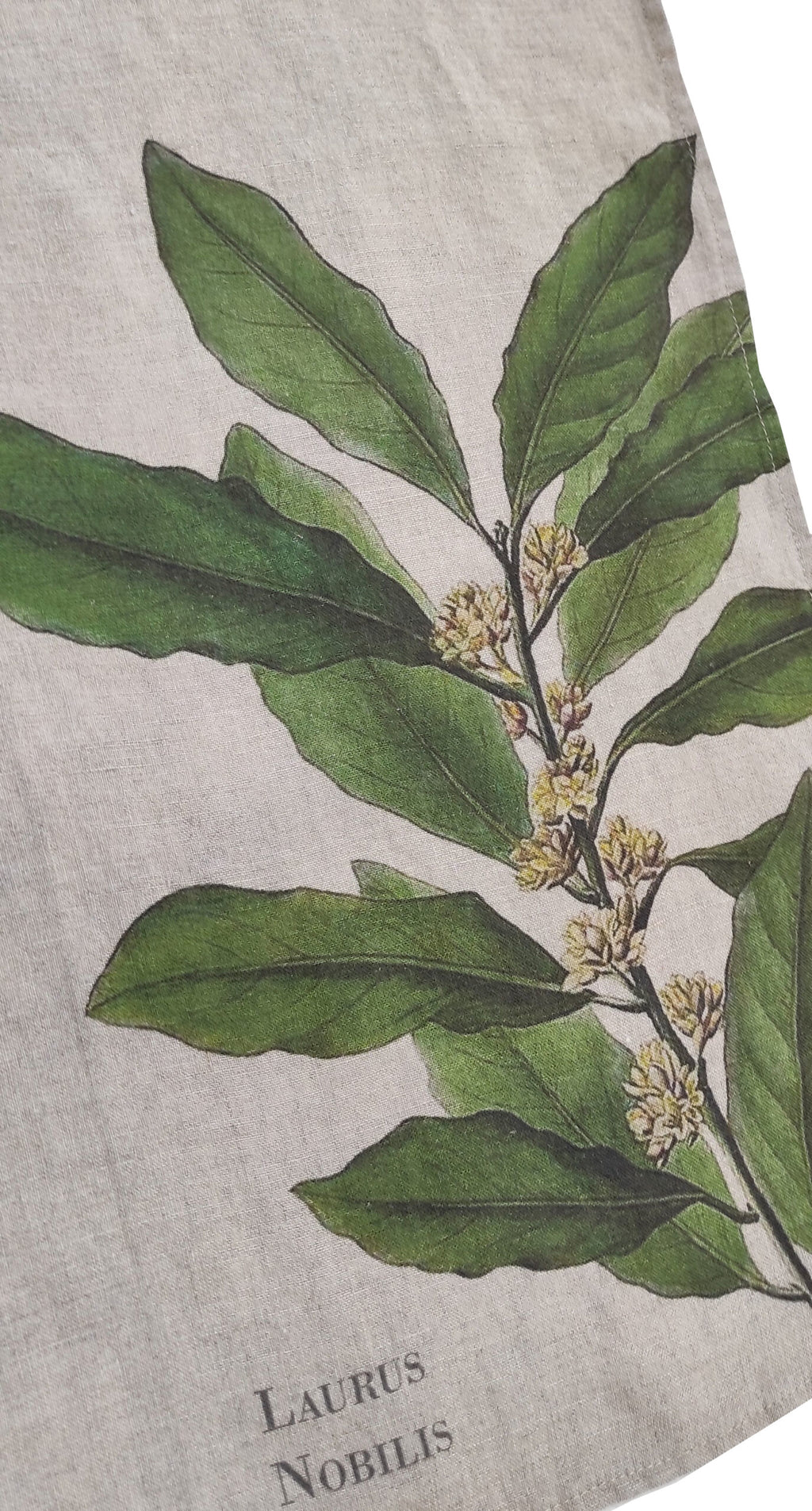 Canovaccio in Puro Lino 100% – ALLORO