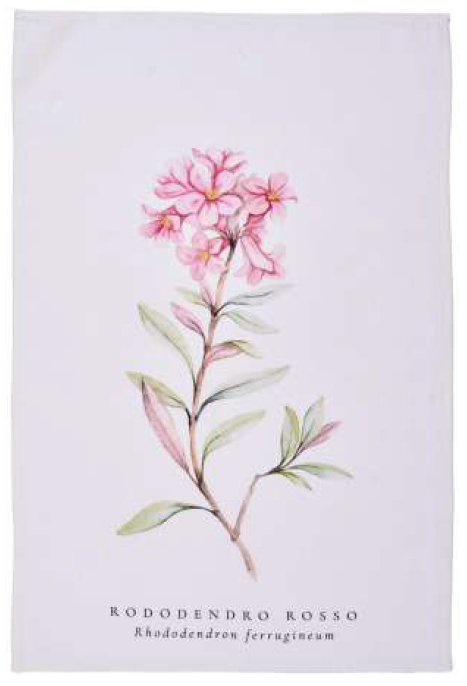 Canovaccio in Puro Lino 100% – RODODENDRO