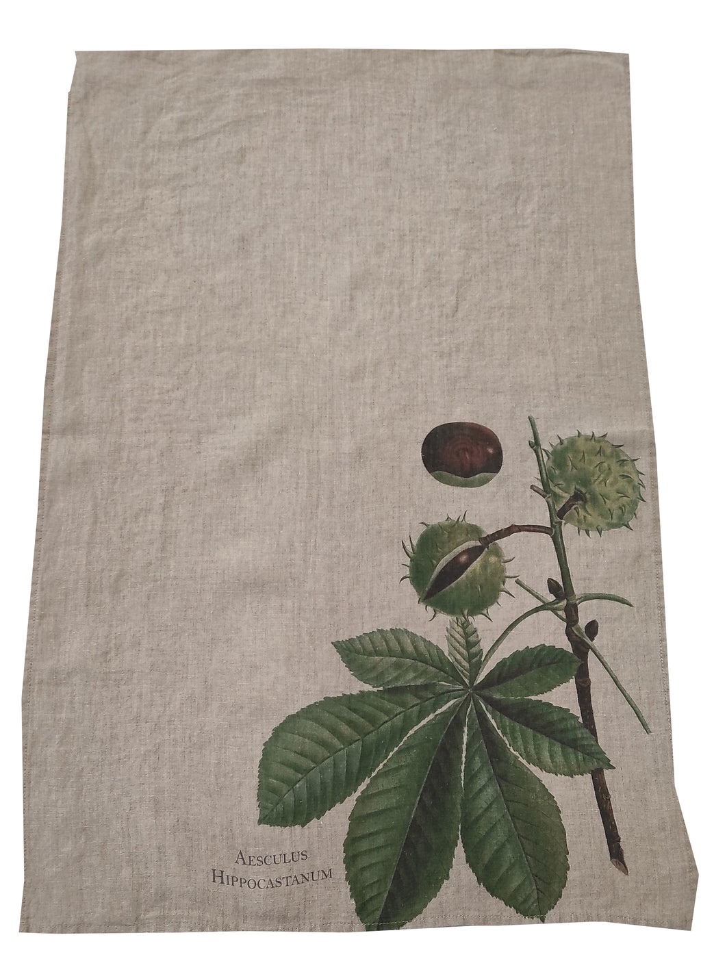 Canovaccio in Puro Lino 100% – IPPOCASTANO