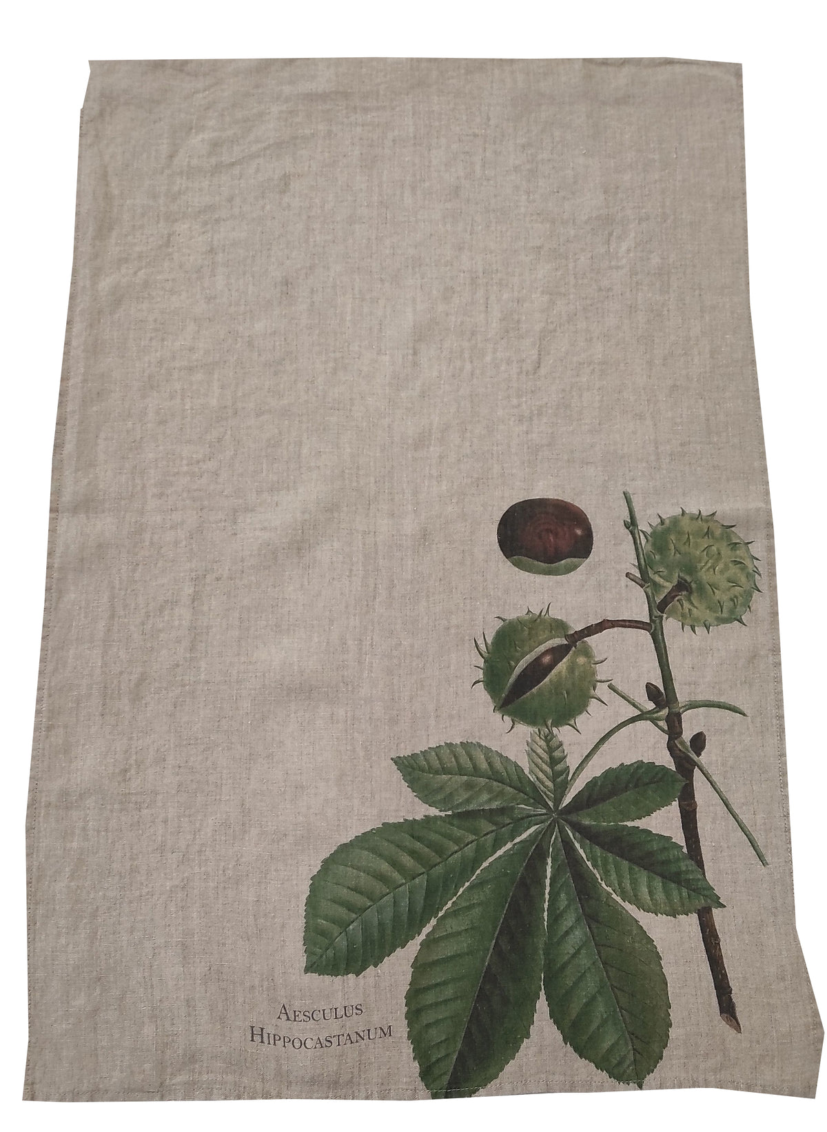 Canovaccio in Puro Lino 100% – IPPOCASTANO