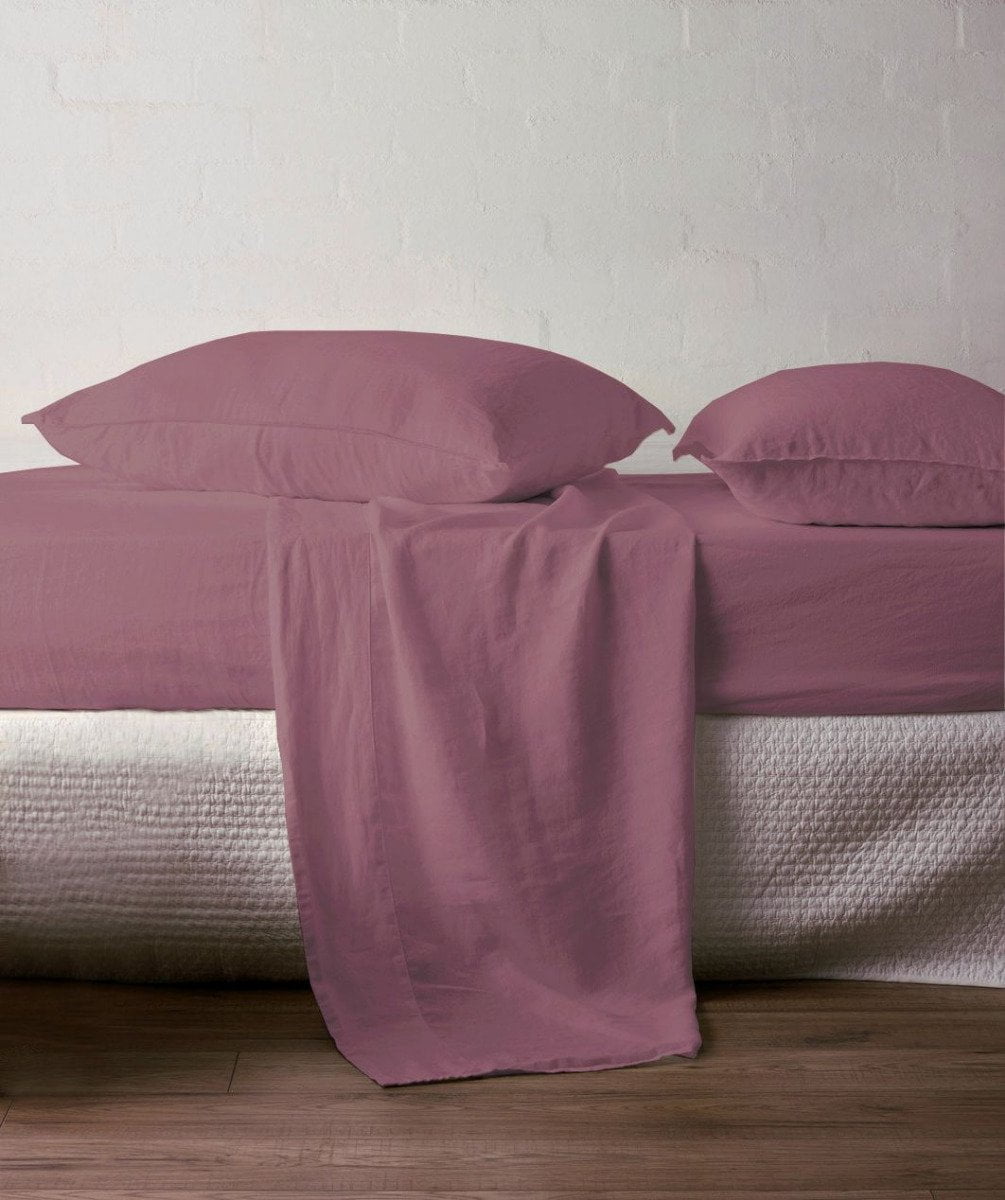 Federa guanciale 100% cotone No stiro DAFNE