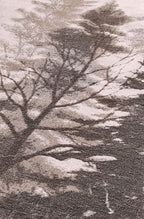 Plaid ALBERI AUTUNNALI • 130x200